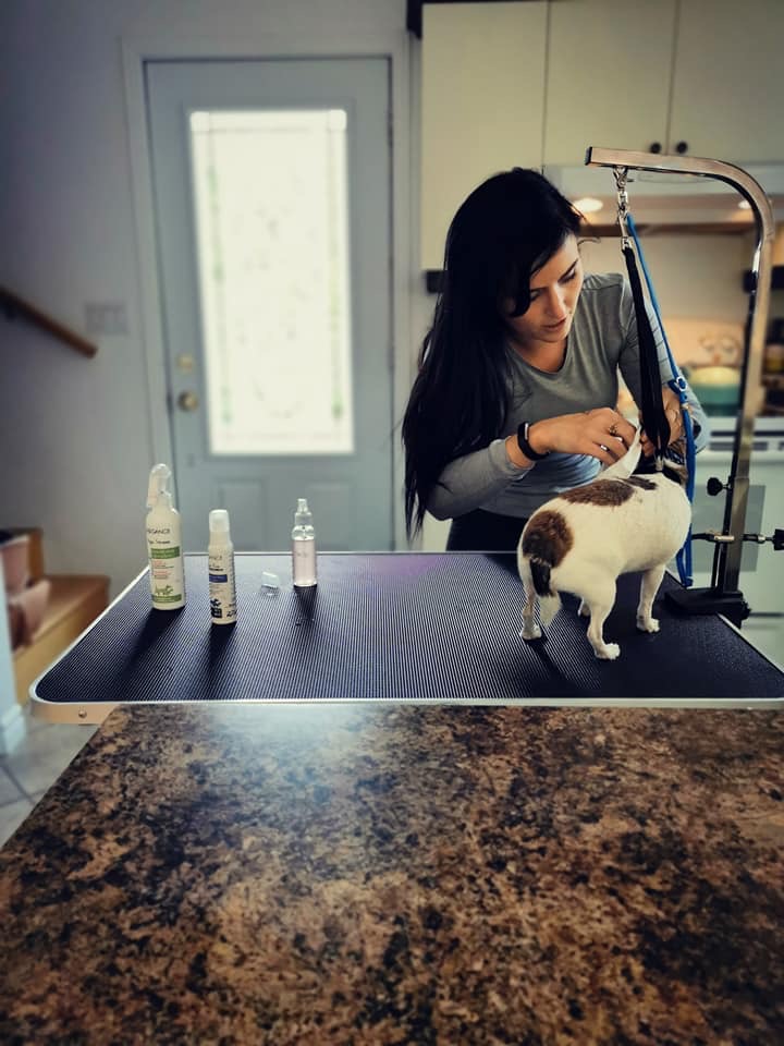 Institut Glam Canin | 1071 Bd Raymond, Québec, QC G1B 2R5, Canada | Phone: (581) 398-2216