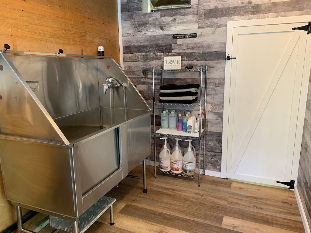 The Laundromutt | 4943 10 Line, Terra Cotta, ON L0P 1N0, Canada | Phone: (905) 580-9065
