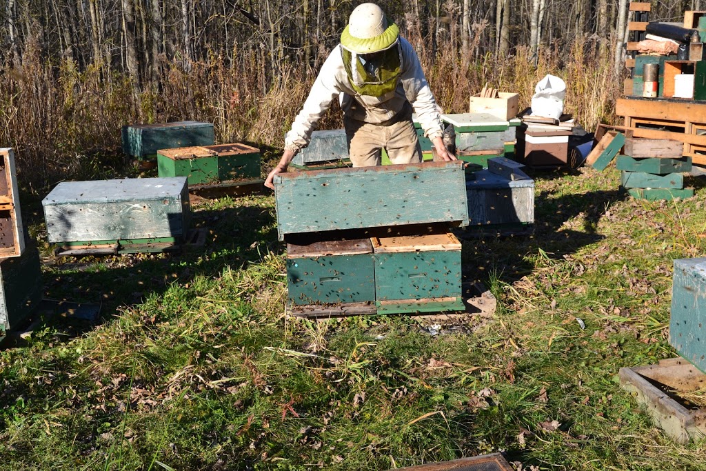 Nith Valley Apiaries Inc. | 1041 Christner Rd, New Hamburg, ON N3A 3K7, Canada | Phone: (519) 662-3165