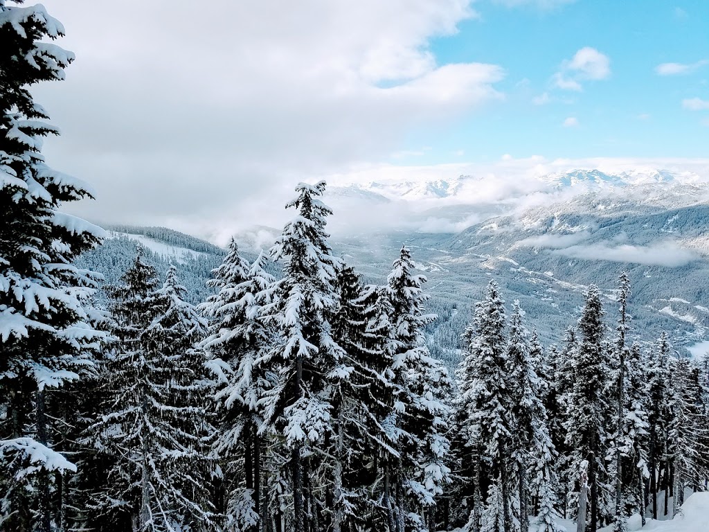 Avalanche Custom Woodworks | 2222 Castle Dr #204, Whistler, BC V8E 0L7, Canada | Phone: (778) 999-4746