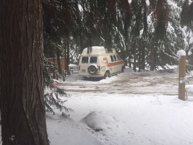 Cedar Falls Campground | 7063 Tillicum Rd, Vernon, BC V1B 3N9, Canada | Phone: (250) 558-1559