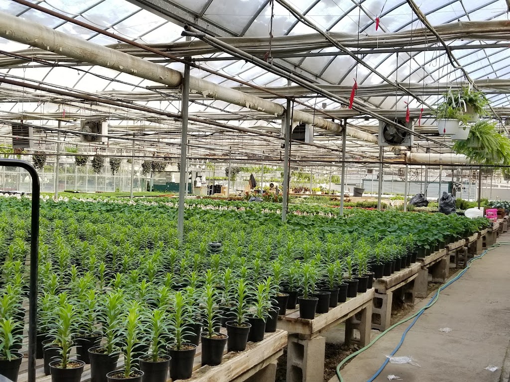 Salisbury Landscaping | 52337 Range Rd 232, Sherwood Park, AB T8B 1B8, Canada | Phone: (780) 410-0611