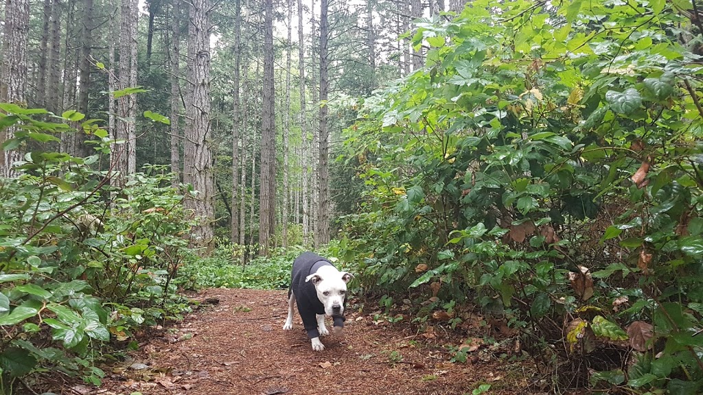 Blinkhorn Nature Park | 1194 Kangaroo Rd, Victoria, BC V9C 4C9, Canada