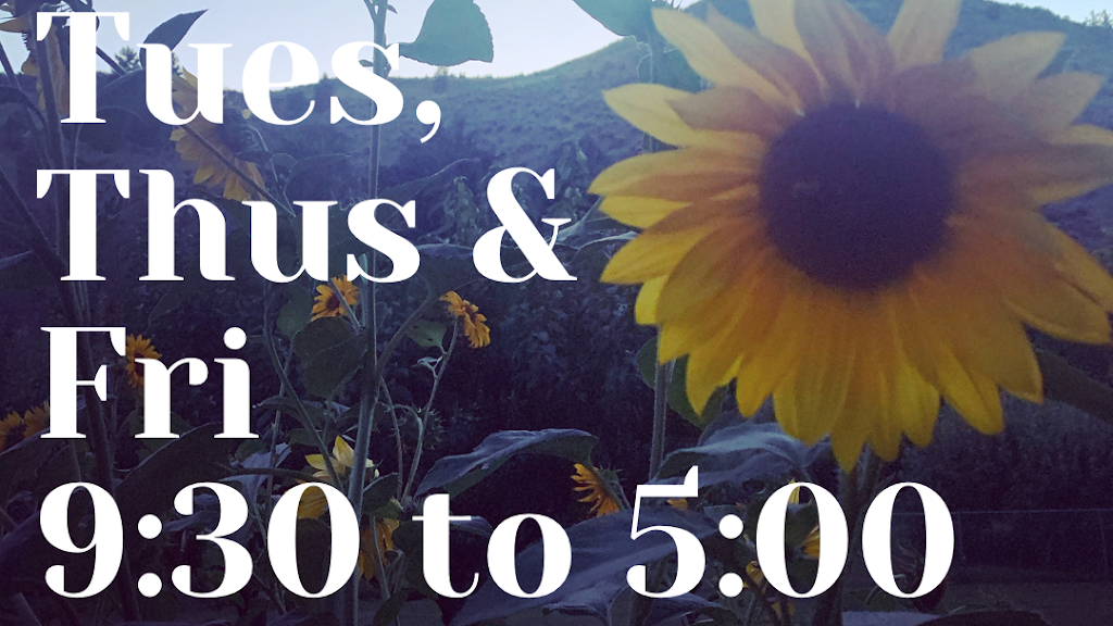 Fine Feather Acupuncture | 201-166 Oriole Rd, Kamloops, BC V2C 4N7, Canada | Phone: (778) 235-0088