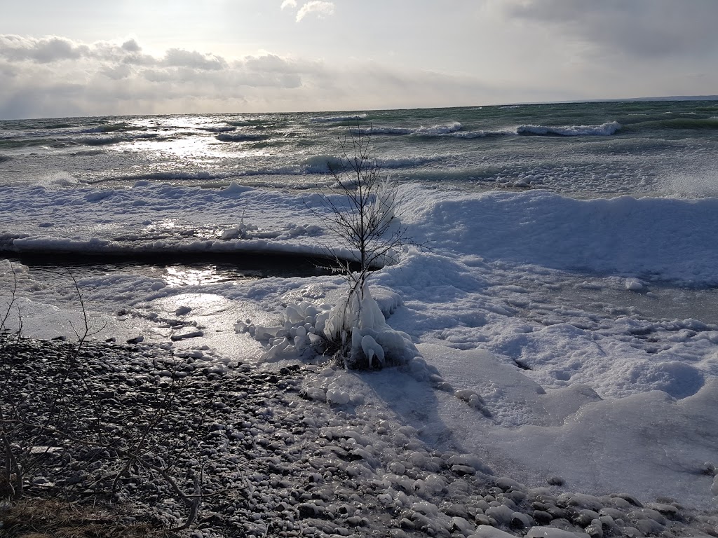 Pleasant Bay Camp | 493 County Rd 27, Consecon, ON K0K 1T0, Canada | Phone: (613) 399-5877