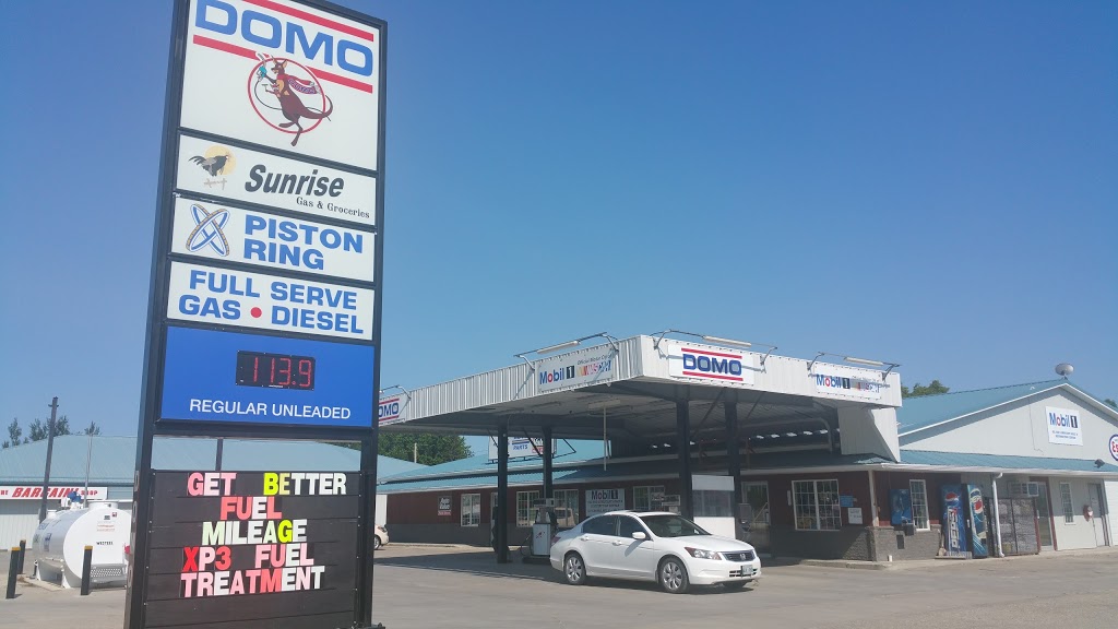 Domo | 273 Centre Ave E, Altona, MB R0G 0B0, Canada | Phone: (204) 324-5222