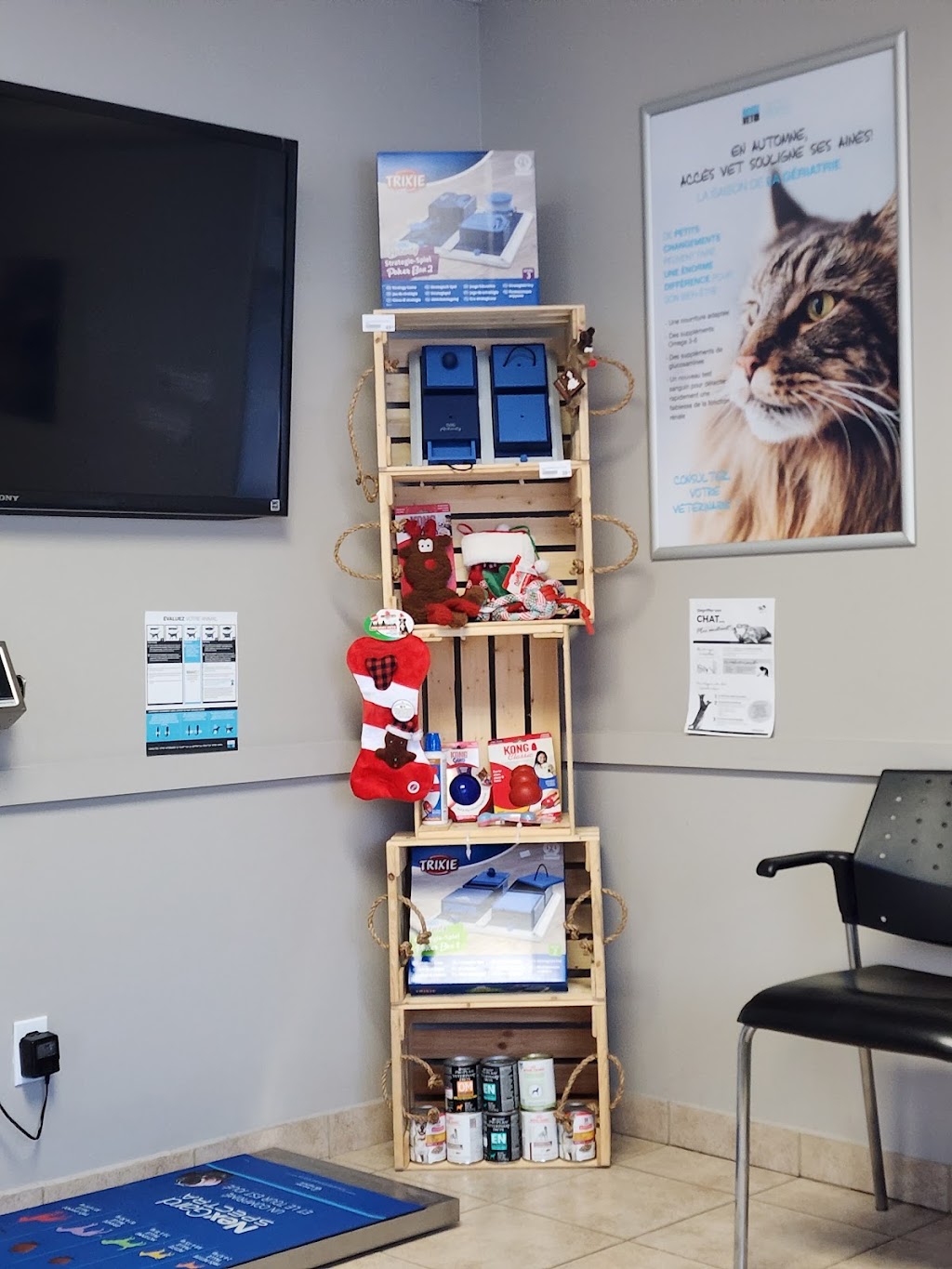 Clinique vétérinaire Dr Karina Paradis | 772 Bd Barrette, Chicoutimi, QC G7J 3Z5, Canada | Phone: (418) 690-0064