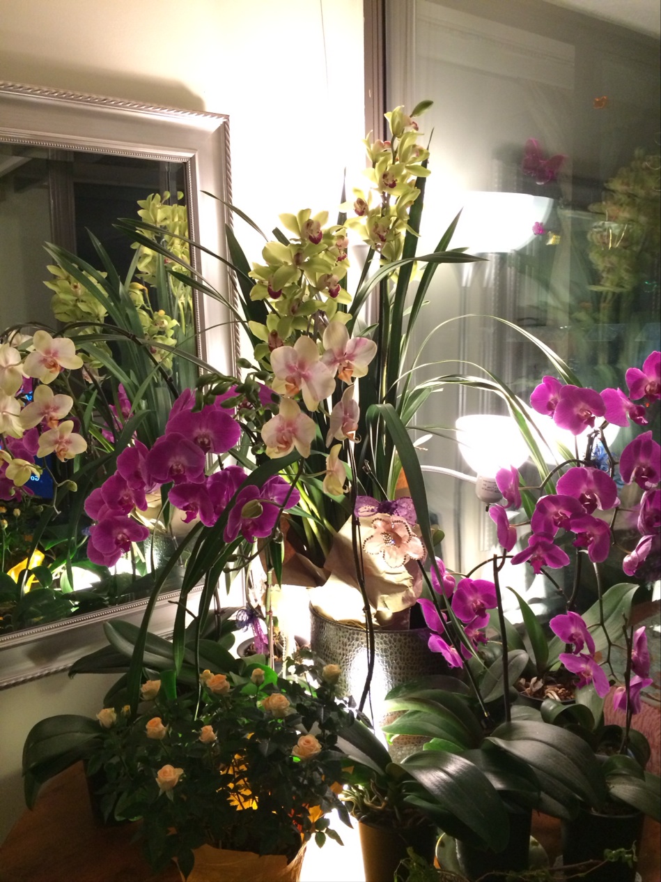 West Van Florist Home & Garden | 1821 Marine Dr, West Vancouver, BC V7V 1J7, Canada | Phone: (604) 922-4171