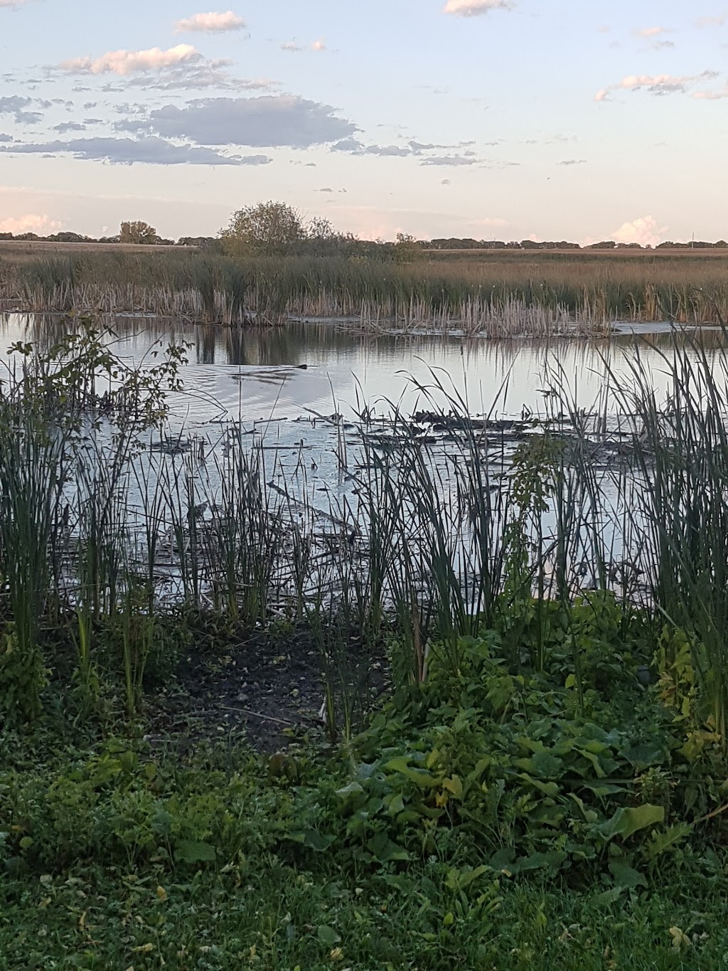 Cypress River Millennium Park | MB-2, Cypress River, MB R0K 0P0, Canada | Phone: (204) 786-2688