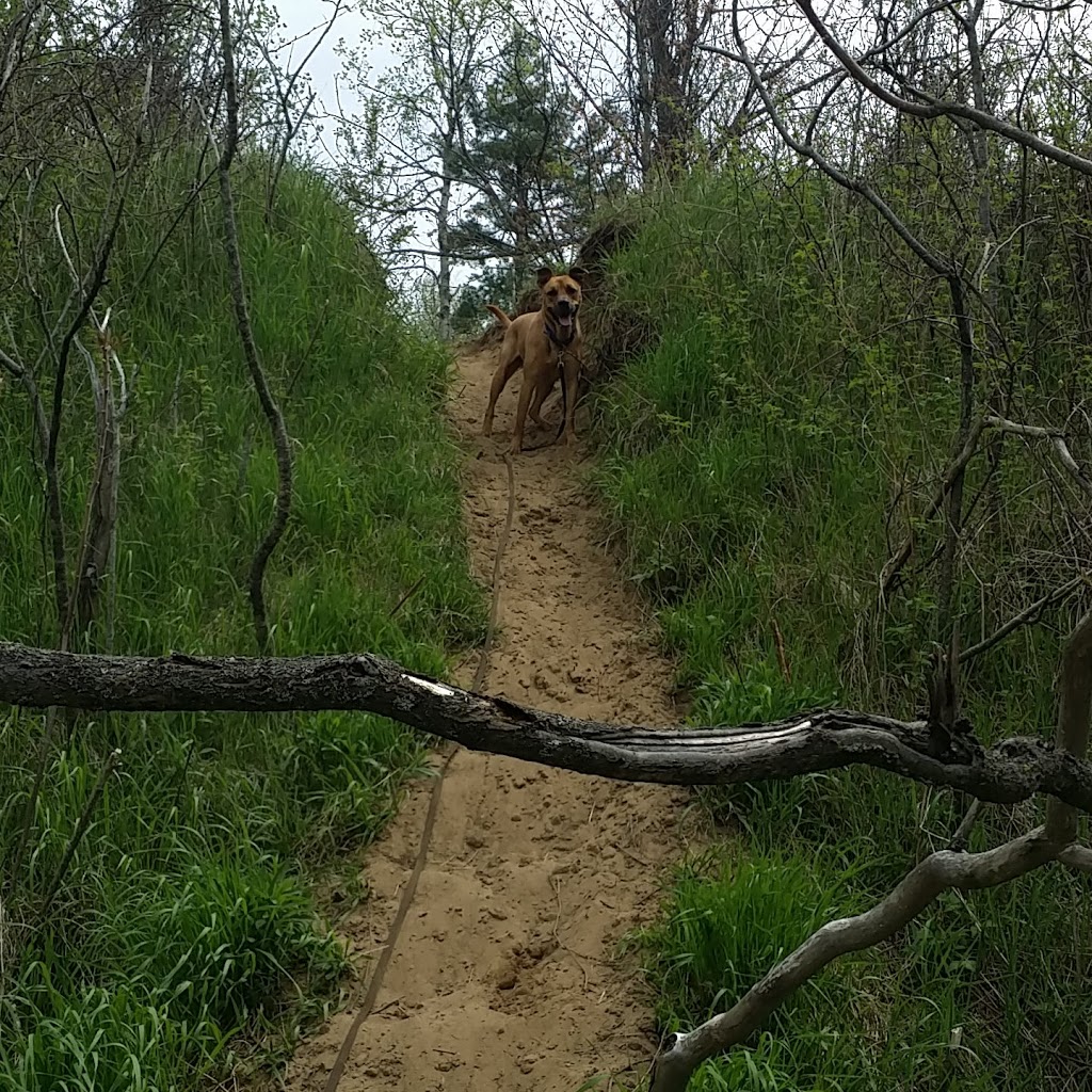 Heber Down Conservation Area | 5000 Cochrane St, Whitby, ON L1P 2A3, Canada | Phone: (905) 579-0411
