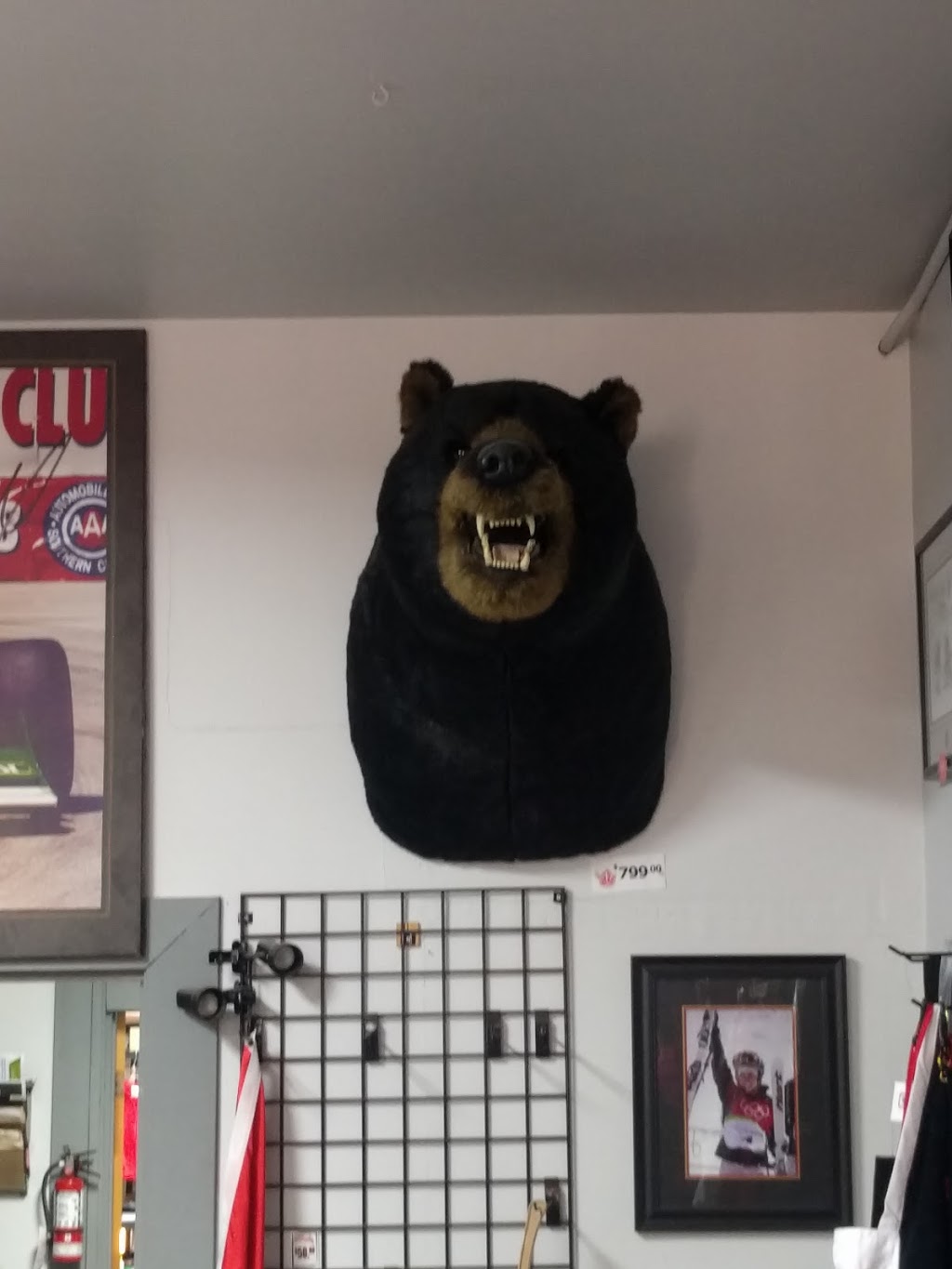 OCanada Gear | 9859 76 Ave NW, Edmonton, AB T6E 1K6, Canada | Phone: (780) 465-3000