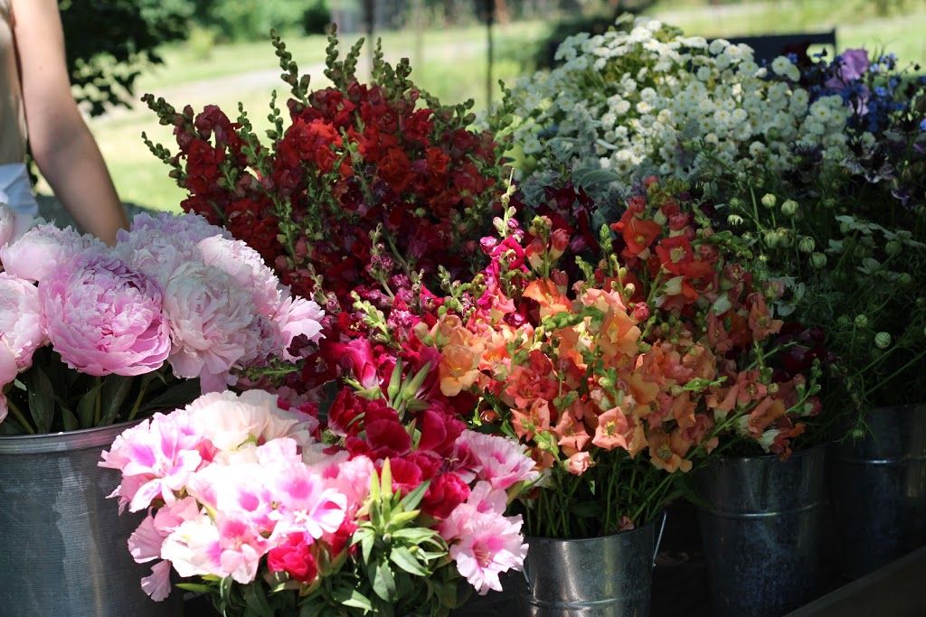Floralora Flowers | 438 County Rd 24, Milford, ON K0K 2P0, Canada | Phone: (613) 885-2647