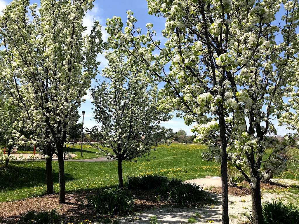 Zonta Meadows Park | 410 Rathburn Rd W, Mississauga, ON L5B 3N8, Canada | Phone: (905) 454-1877