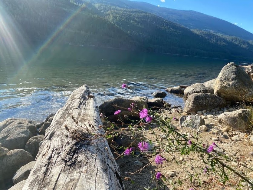 Martha Creek Provincial Park | British Columbia V0E 2S0, Canada | Phone: (800) 689-9025