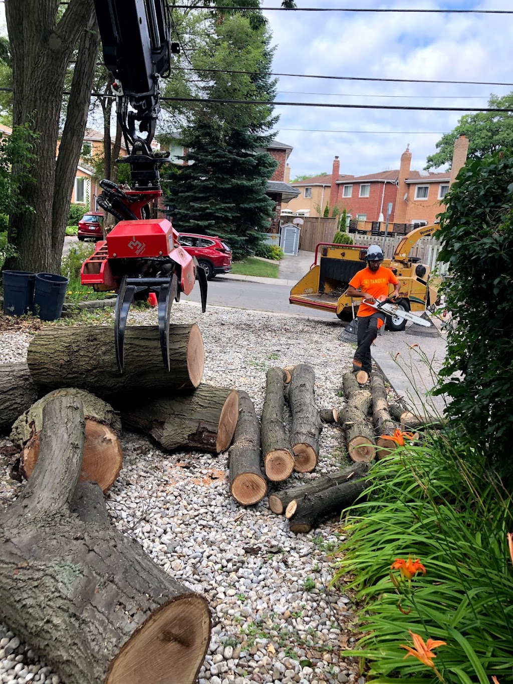 Tandem Tree Service | 641 Annland St, Pickering, ON L1W 1A9, Canada | Phone: (647) 467-8733