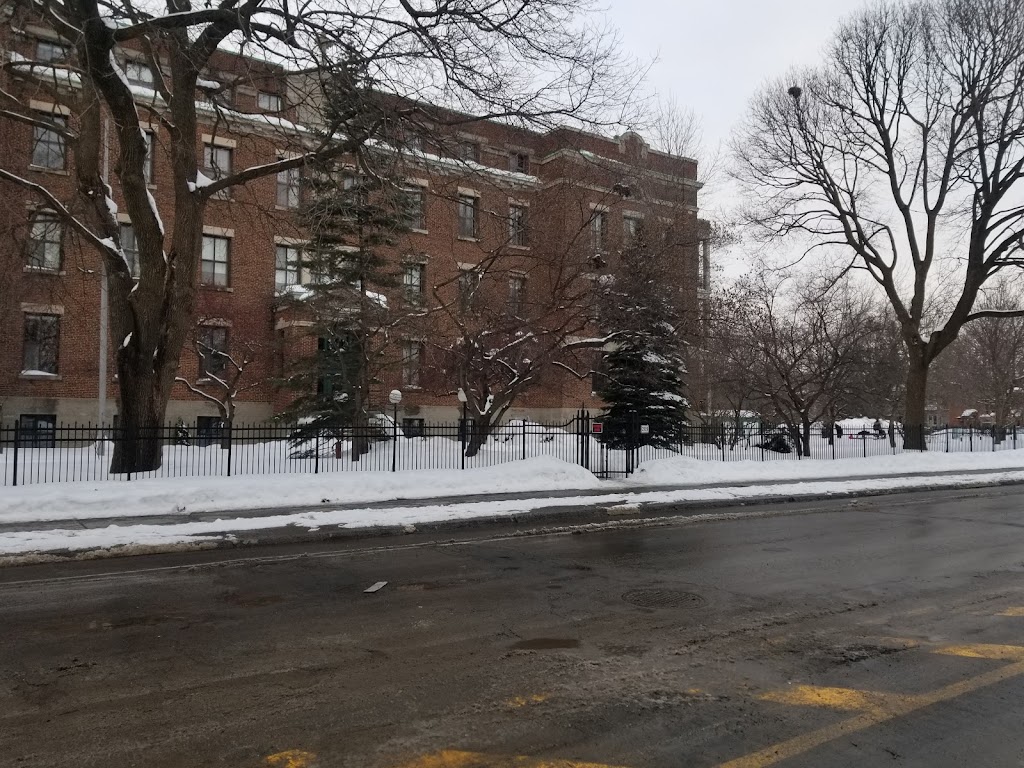 Jardin pour tous | 6108 8e Avenue, Montréal, QC H1Y 2M2, Canada | Phone: (514) 727-6775