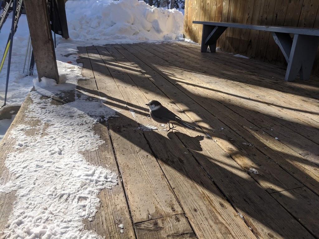 Club de Ski de fond et de raquette Amiski de Saint-Antonin | 746 Chem. Lavoie, Saint-Antonin, QC G0L 2J0, Canada | Phone: (418) 868-2647