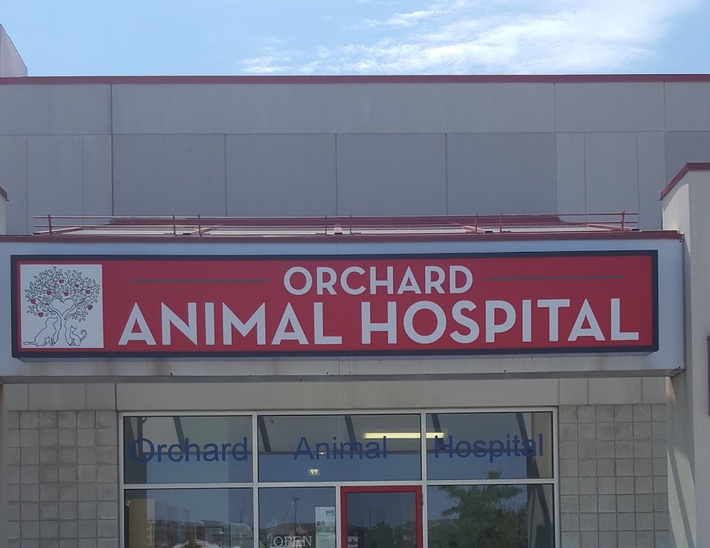 Orchard Animal Hospital - 2020 Appleby Line, Burlington, ON L7L 6M6, Canada