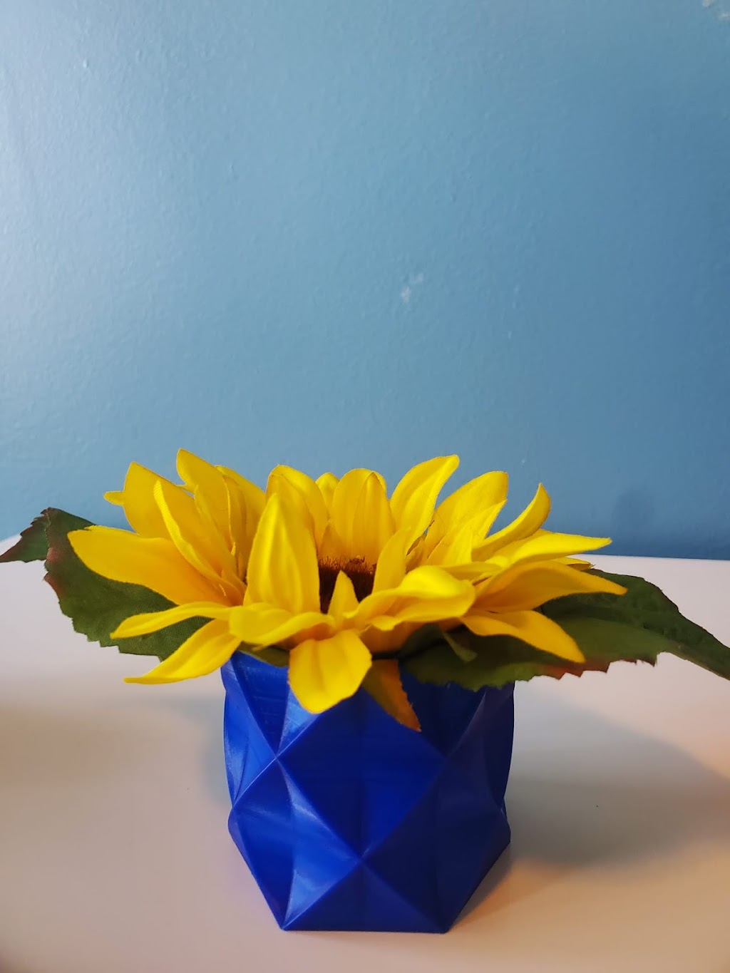 Dreamworks 3D Printing and Woodworking | 39 Capricorn Pl, Winnipeg, MB R2G 2W3, Canada | Phone: (204) 807-2404