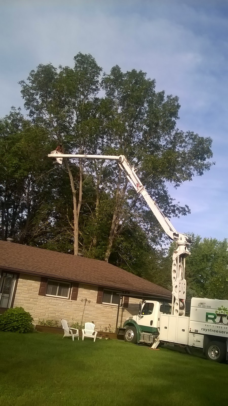 Rays Tree Service | 84 Concession 5 East, Tiny, ON L0L 2T0, Canada | Phone: (705) 322-1556