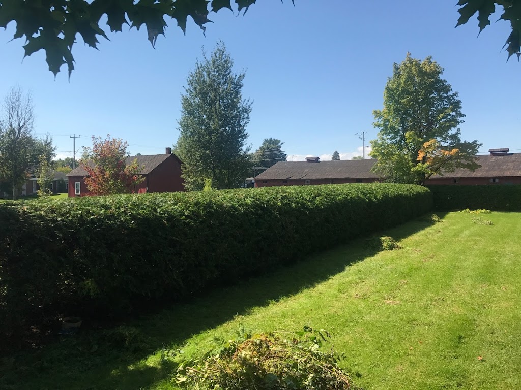 Taille de Haies Kilsdonk | 262 Bd Bourgeois, Napierville, QC J0J 1L0, Canada | Phone: (450) 357-3144
