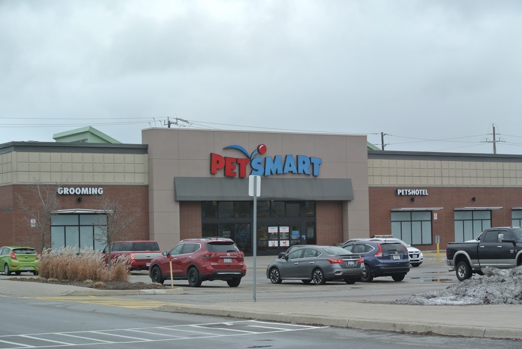 PetSmart 2050 Eglinton Ave E Scarborough ON M1L 2M6 Canada   3fd2d2cf357033907941fce8f1ce2c8b  Ontario Toronto Division Toronto Scarborough Petsmarthtml 