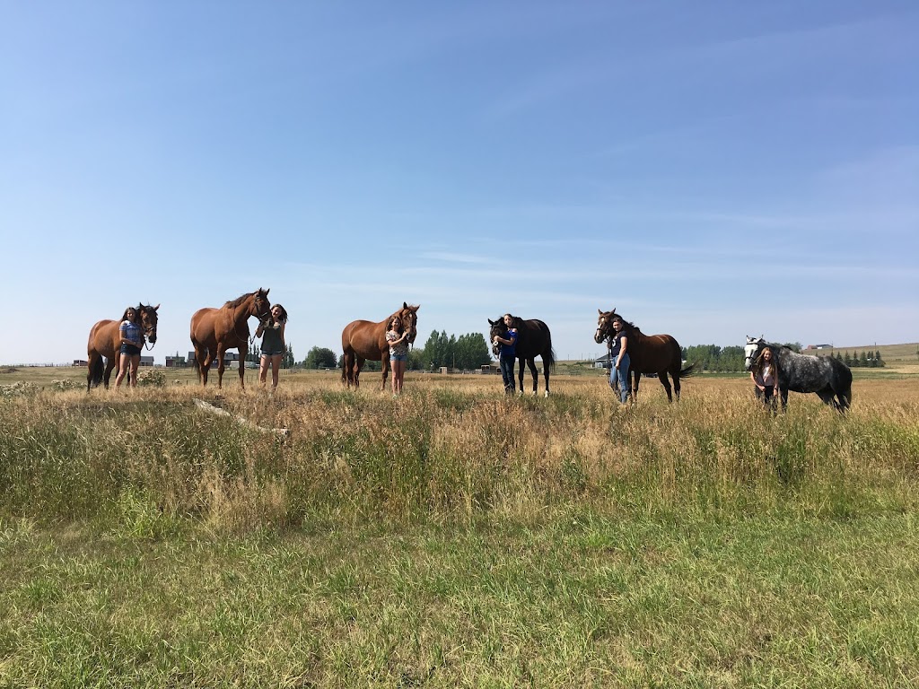 SugarTide Equestrian | 434041 16 St W, Aldersyde, AB T0L 0A0, Canada | Phone: (403) 813-4218
