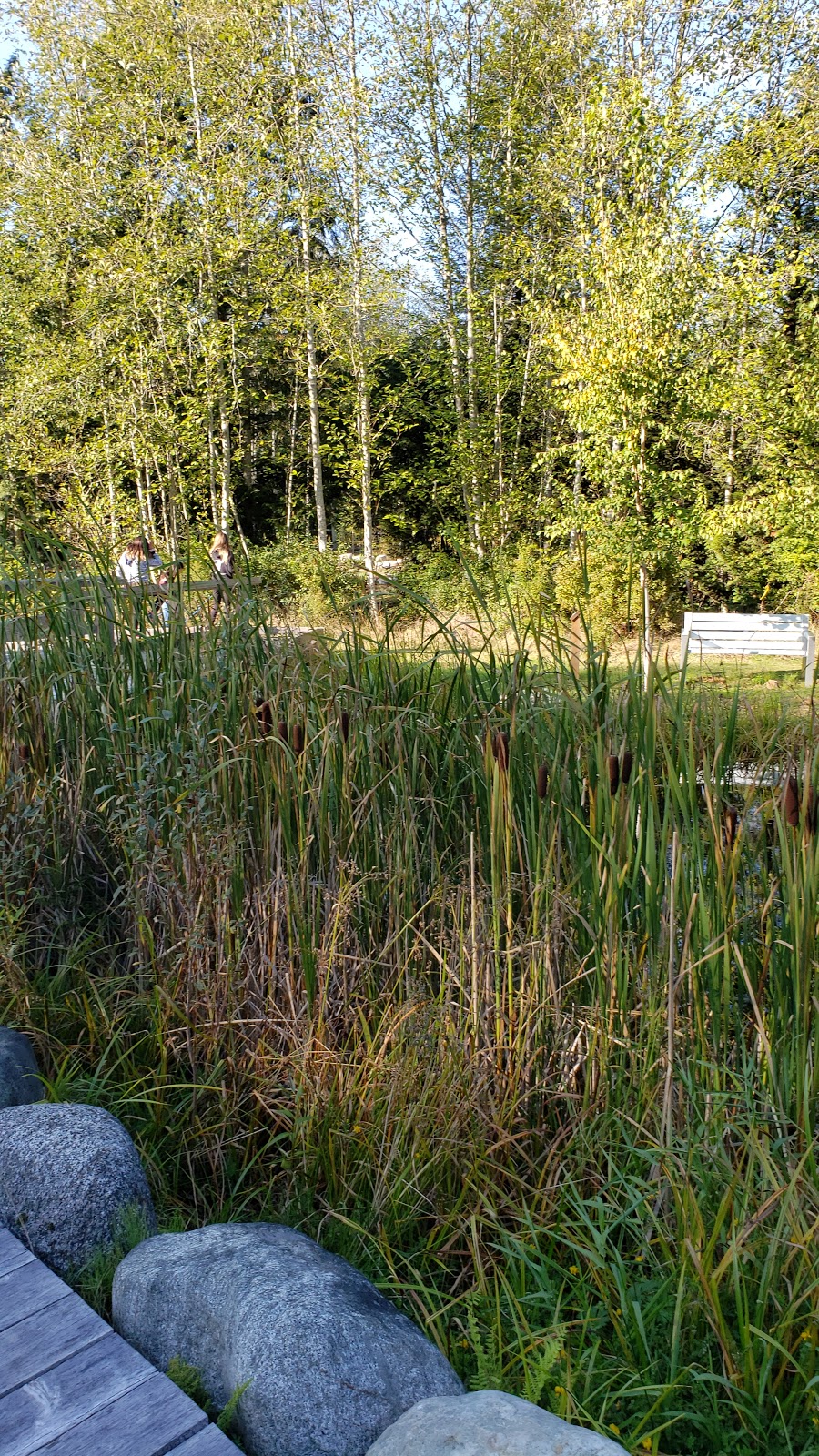 Sunshine Coast Botanical Garden Society | 5941 Mason Rd, Sechelt, BC V0N 3A8, Canada | Phone: (604) 740-3969