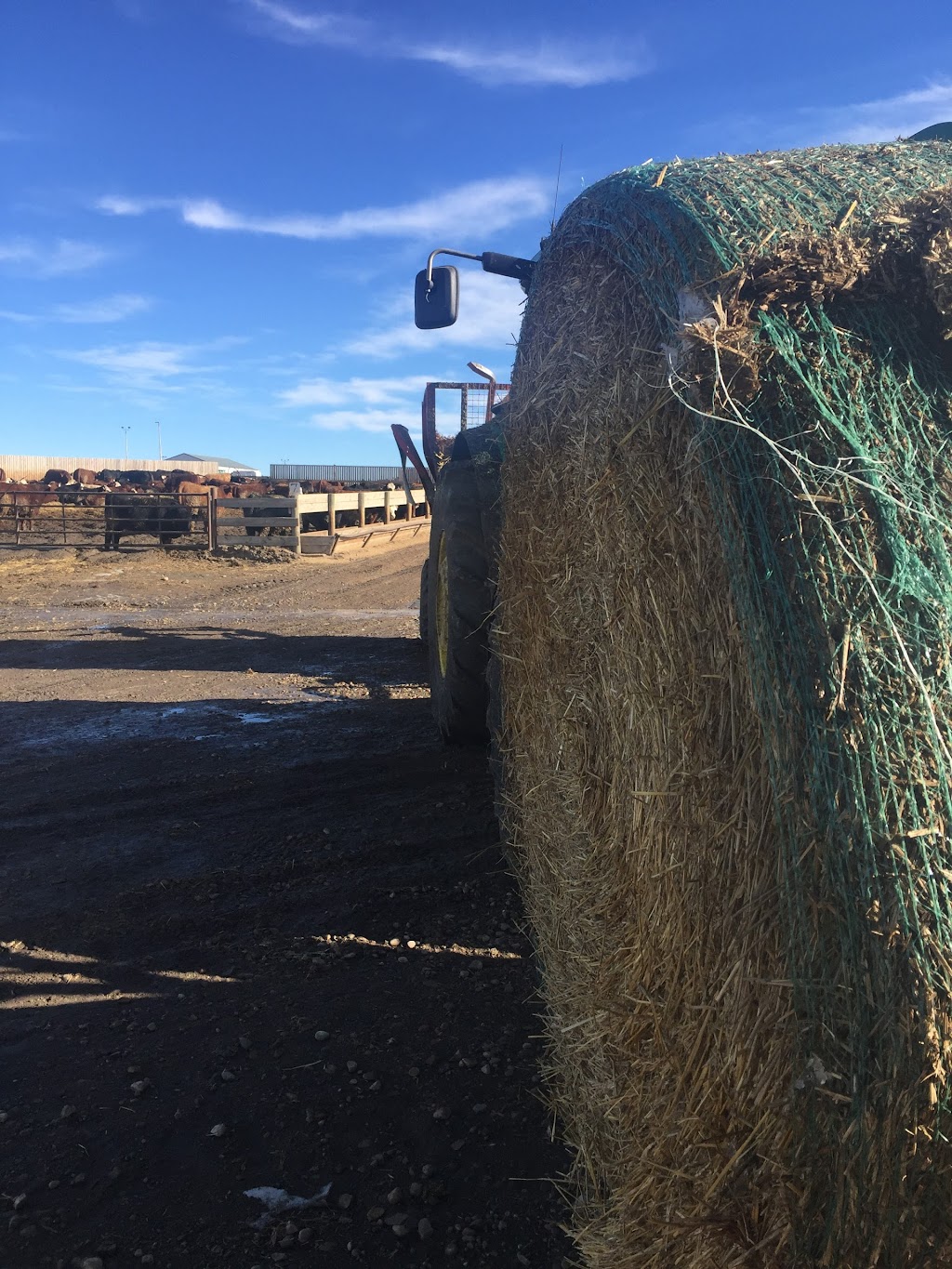 Klassen Agriventures Ltd. | 488 Box, Linden, AB T0M 1J0, Canada | Phone: (403) 546-2420