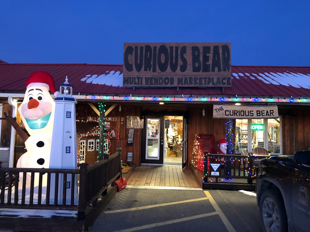 Curious Bear Market-place | 5584 ON-35, Fenelon Falls, ON K0M 1N0, Canada | Phone: (705) 887-2220