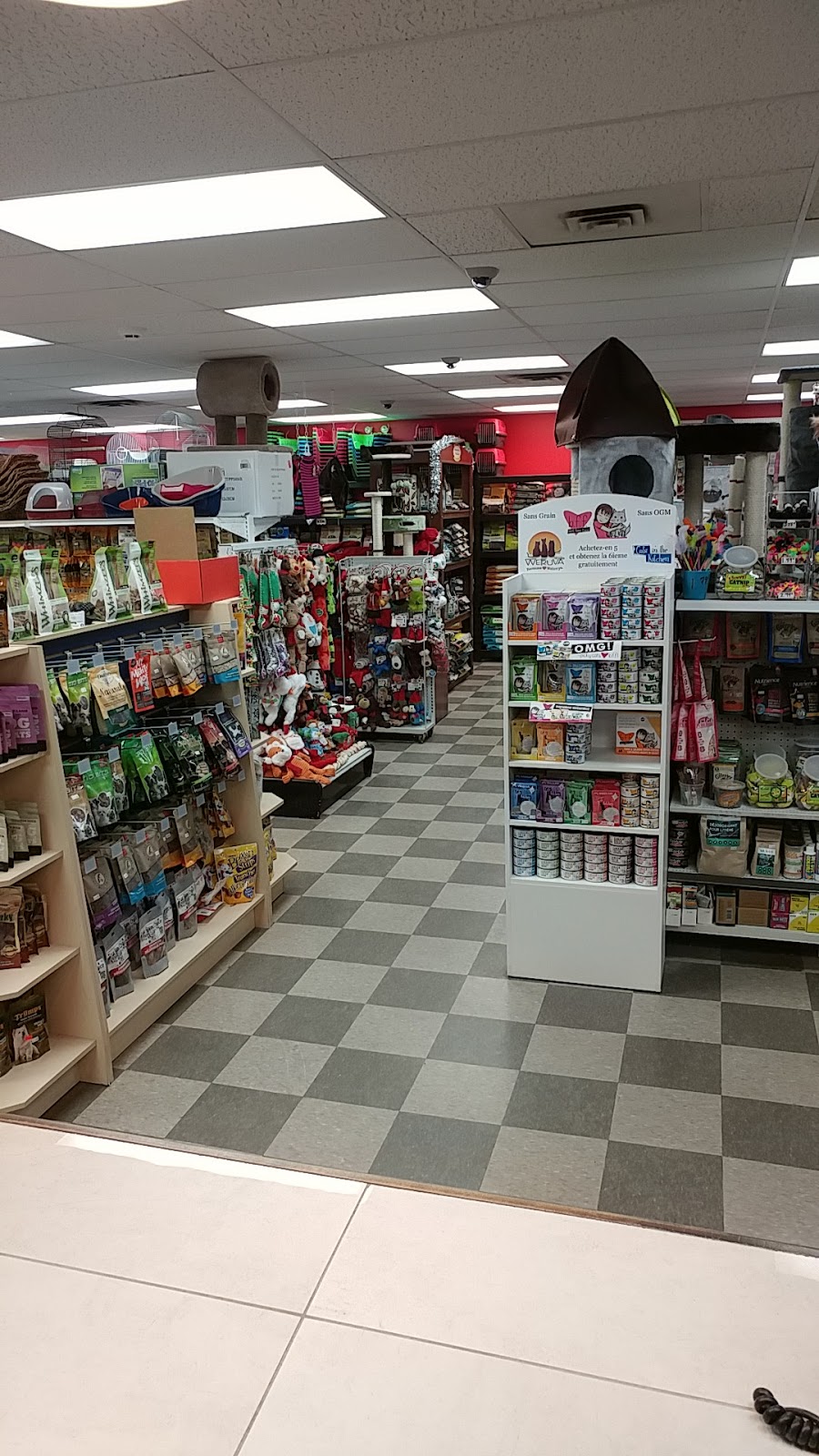 Animalerie Quatre Pattes & Cie | 922 Boulevard Maloney E, Gatineau, QC J8P 1H5, Canada | Phone: (819) 669-1115