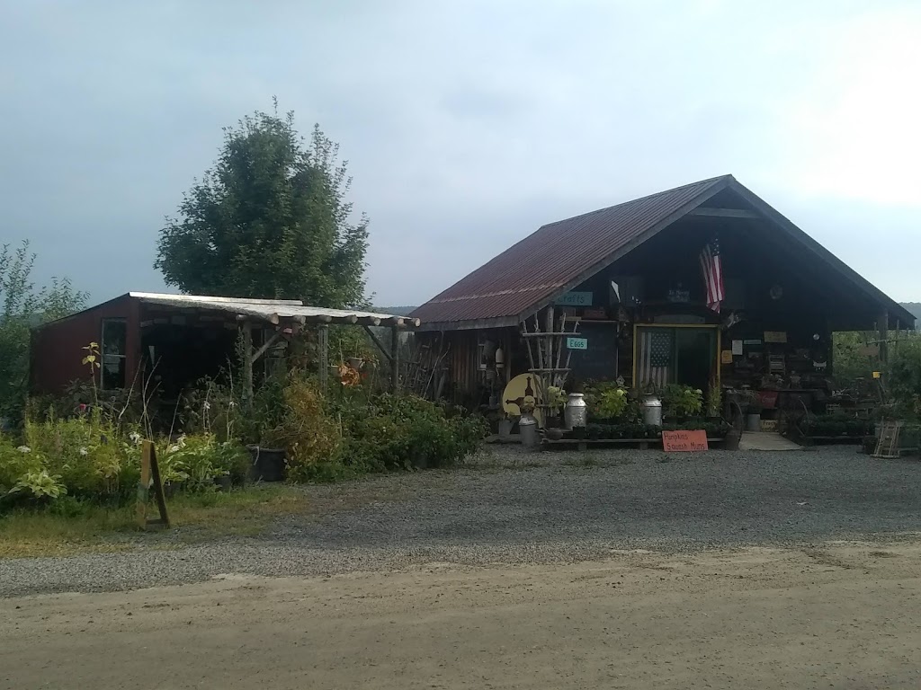 Devaney farmstand | 3843 Hudson Rd, West Charleston, VT 05872, USA | Phone: (802) 895-4080