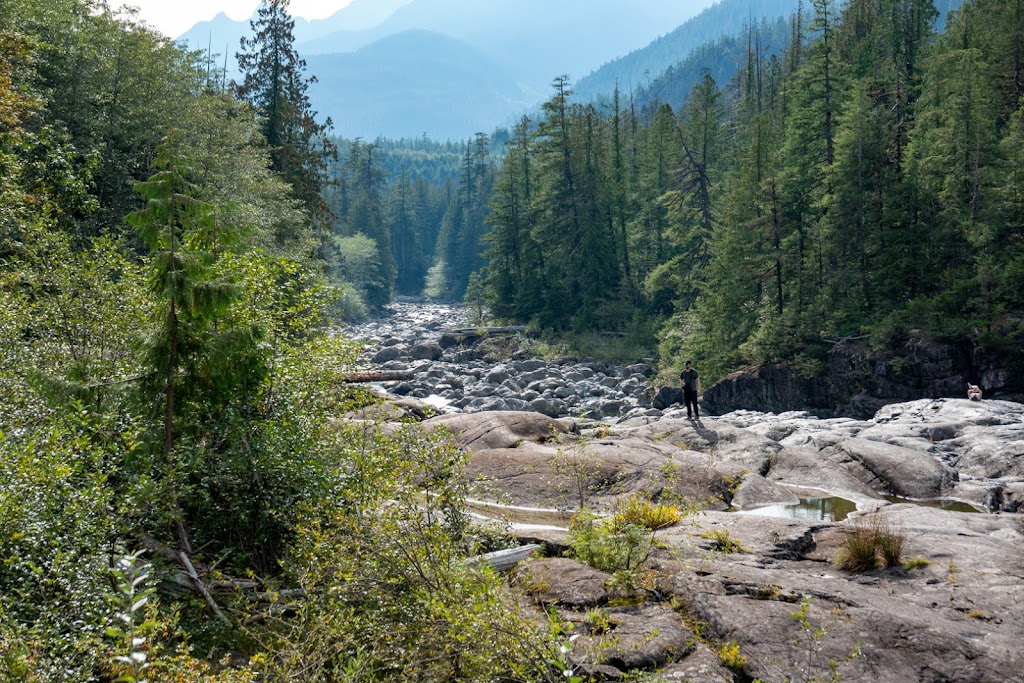 WestCoast WILD Zipline | 51861 Pacific Rim Hwy, Alberni-Clayoquot, BC V0R 2Z0, Canada | Phone: (877) 992-9453