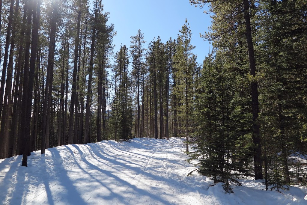 West Bragg Creek Day Use Area | Kananaskis, AB T0L 0K0, Canada