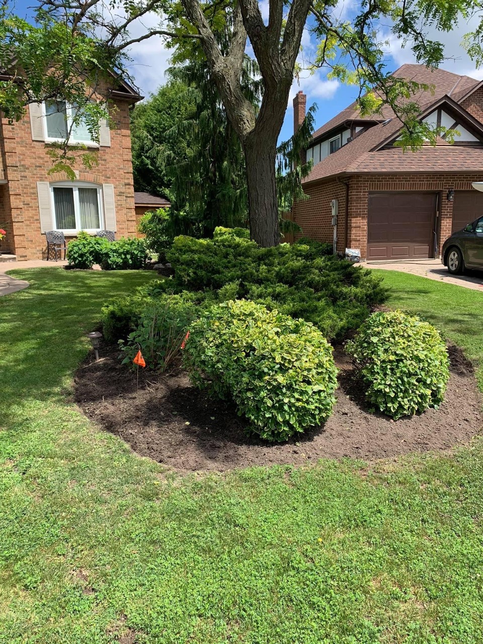 BPG Gardens | 80 Brookshire Cir, Thornhill, ON L3T 7B2, Canada | Phone: (416) 315-4135