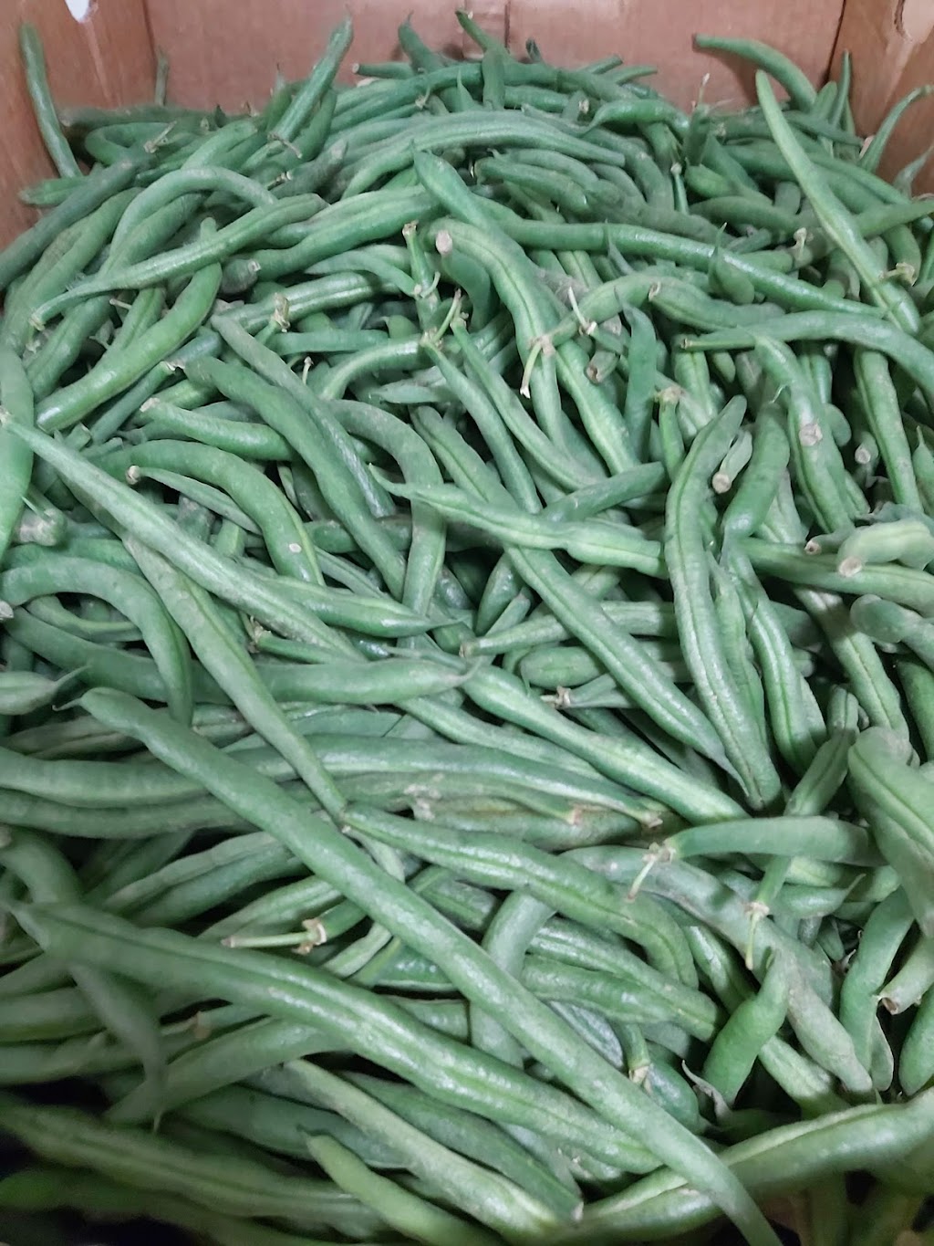 Fruits N Roots Farm | 21 Maple Ln, Newport, NS B0N 2A0, Canada | Phone: (902) 306-7529