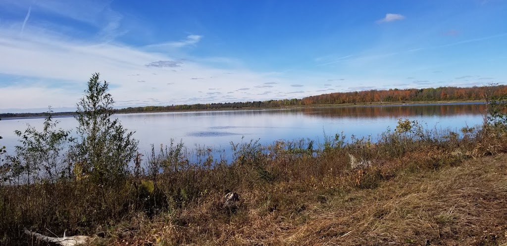 Wilson Hill Wildlife Management Area | Massena, NY 13662, USA