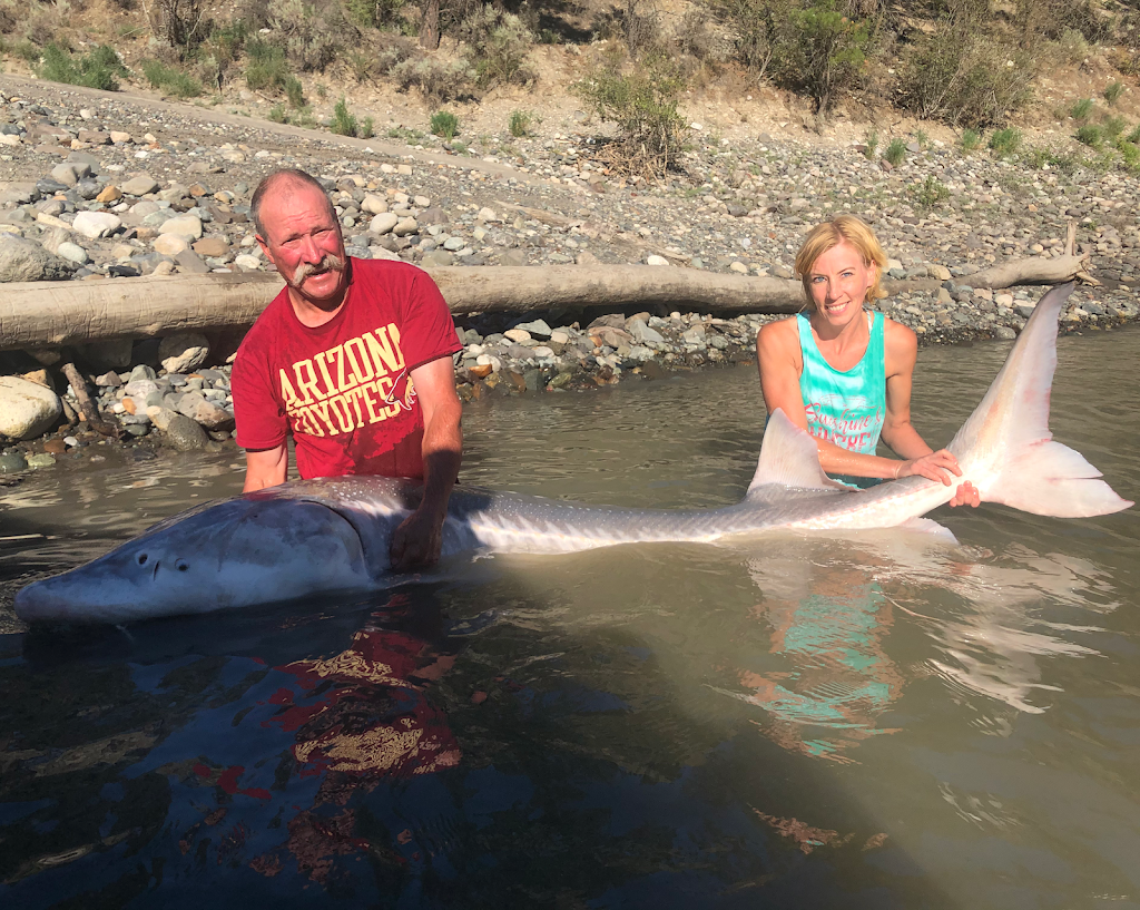 Lillooet Sturgeon Lodge B&B | 368 Park Dr, Lillooet, BC V1K 1V0, Canada | Phone: (250) 308-9199
