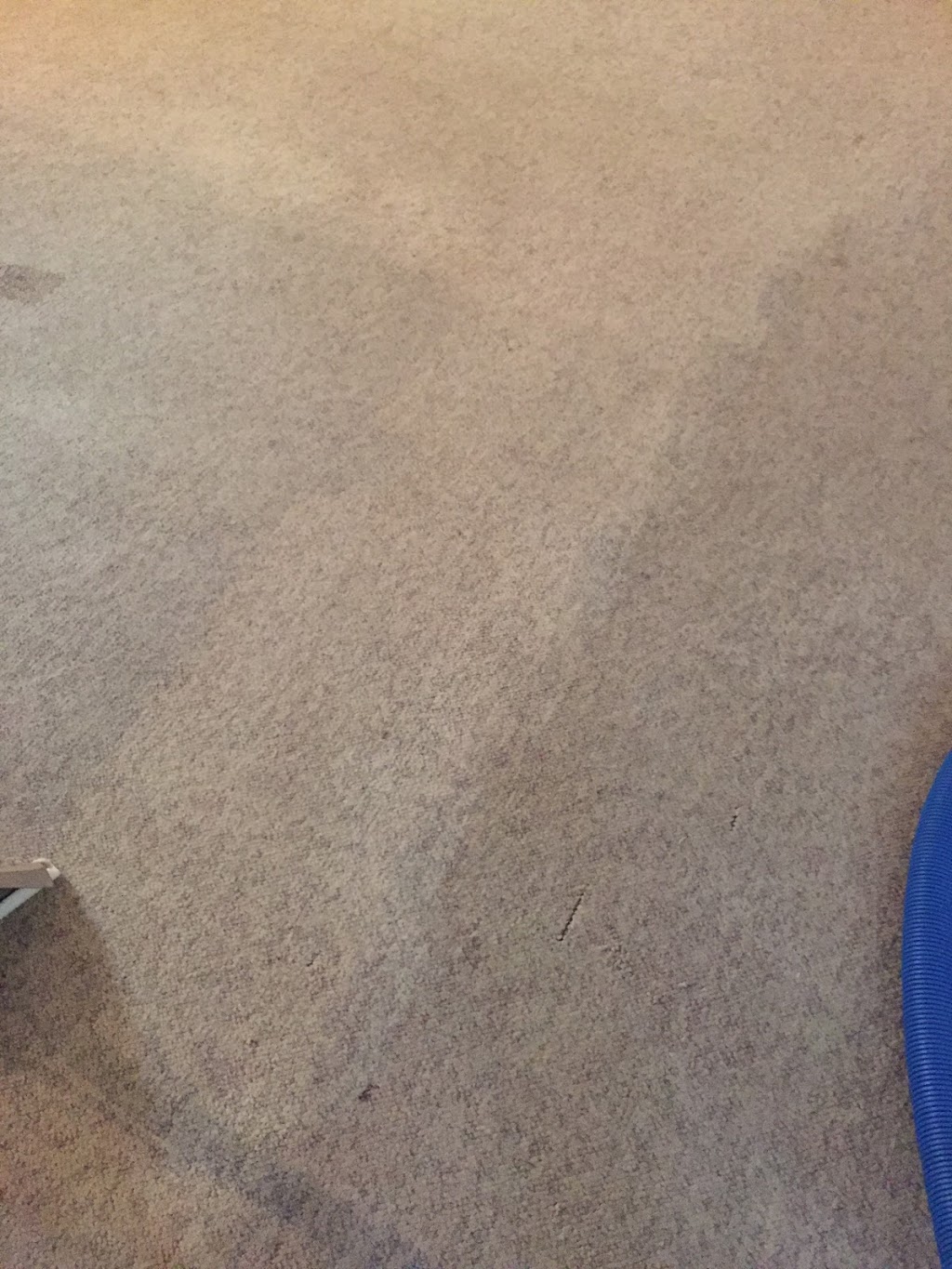 Action cleaning services | 351 Habitat Crescent NW, Edmonton, AB T5A 3A6, Canada | Phone: (780) 680-6337