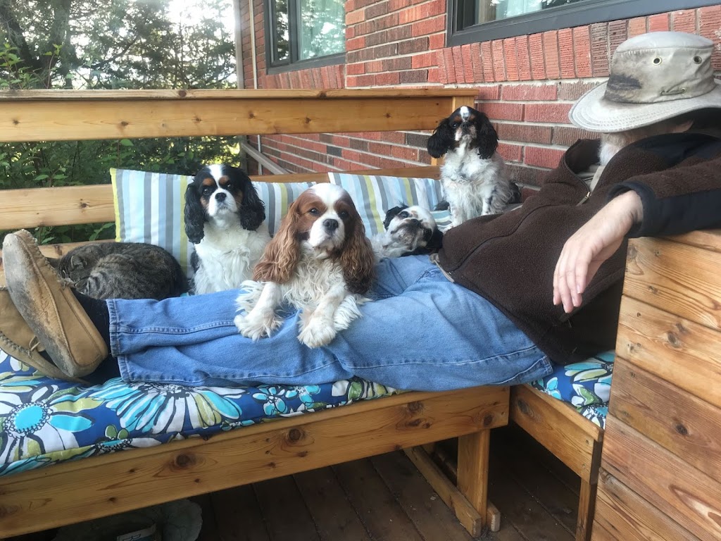 Holiday Pet Boarding | 80048 242 Ave W, De Winton, AB T1S 2Z6, Canada | Phone: (403) 510-7955