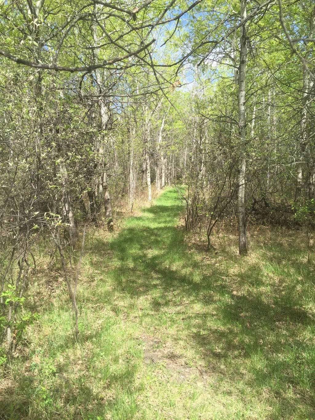 Wild Spirit Prairie Sanctuary | Longlaketon No. 219, SK S0G 1J0, Canada | Phone: (639) 571-1958