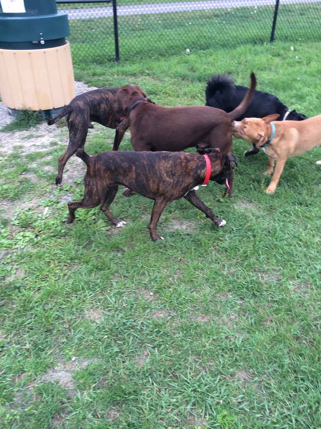 Hampton Park Dog Run | Trans-Canada Hwy, Ottawa, ON K1Z 6E6, Canada