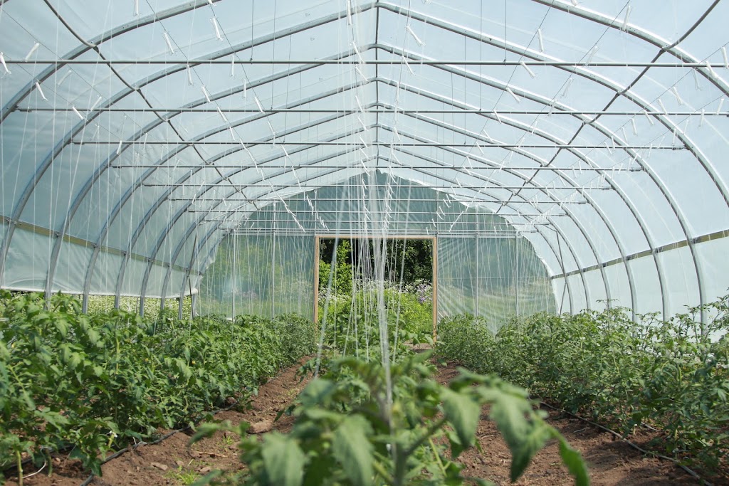 Ferme de Santropol Roulant | 269 Ch Senneville, Senneville, QC H9X 3X8, Canada | Phone: (514) 284-9335