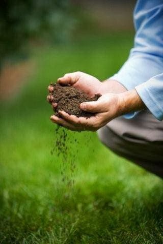 Nutri-Lawn of Abbotsford | 498 McKenzie Rd, Abbotsford, BC V2S 8B1, Canada | Phone: (604) 504-7112
