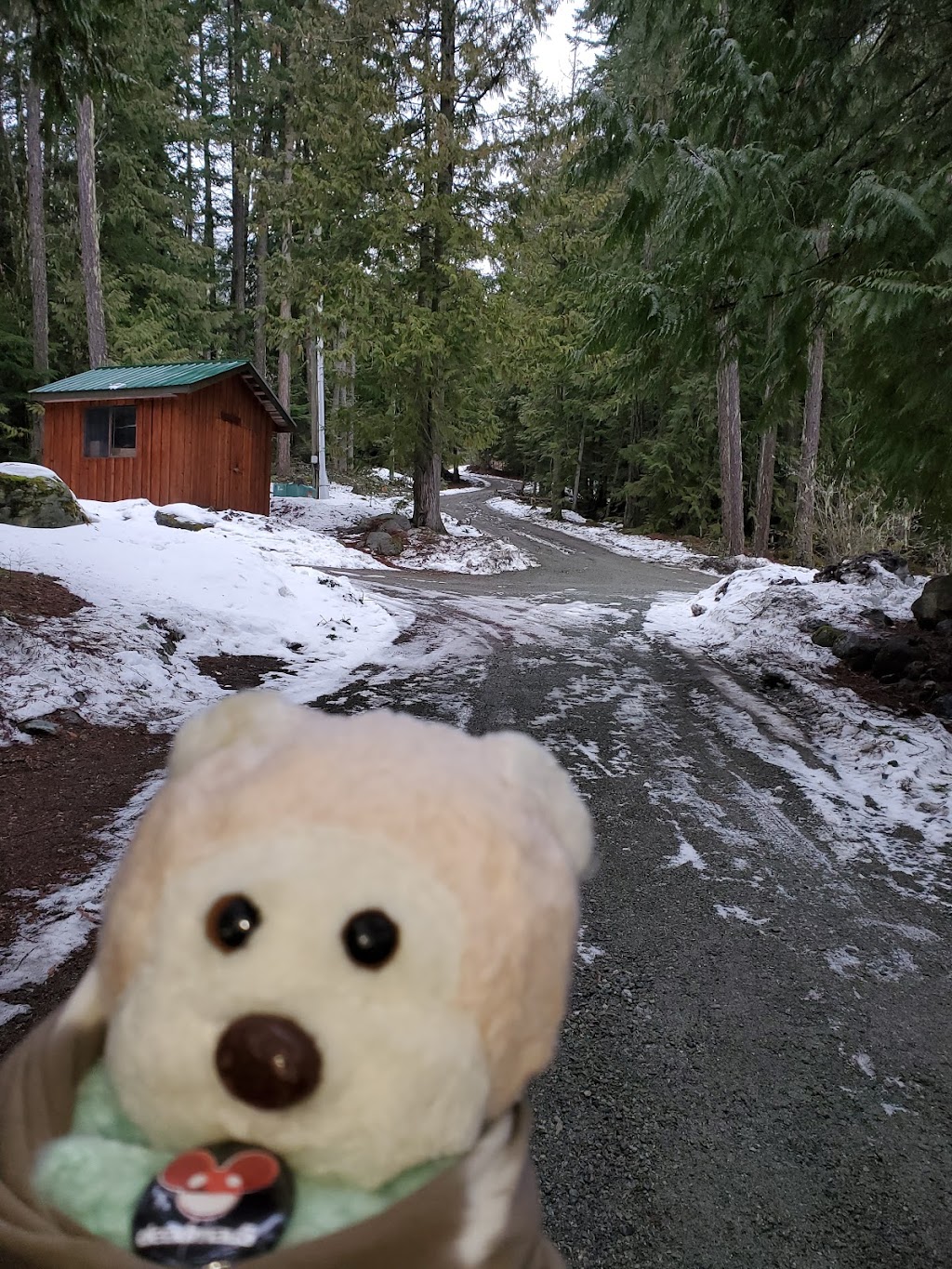 Ivey Lake Lodge | 1702 Reid Rd, Pemberton, BC V0N 2L0, Canada | Phone: (604) 603-8082