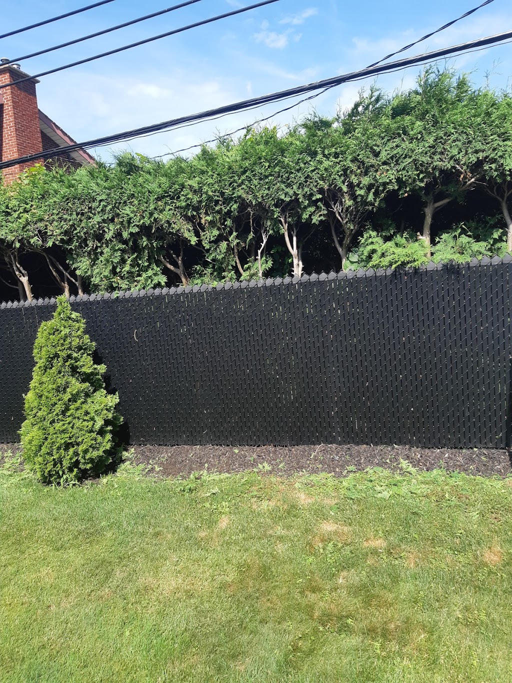 Springfield landscaping | 54 Rue de Beauharnois O, Montréal, QC H2N 1J5, Canada | Phone: (514) 594-0425