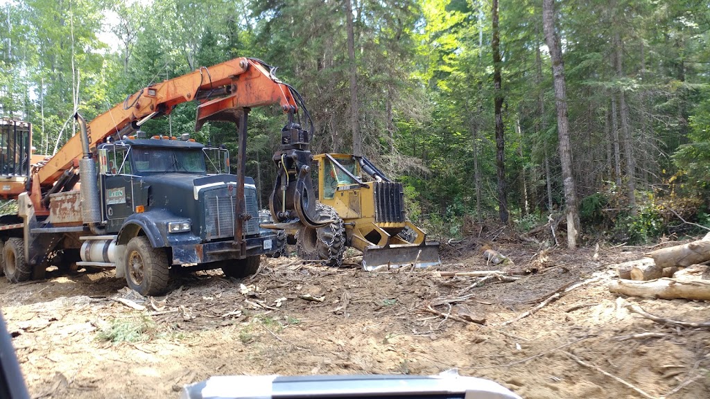 Leonard Trader Sand & Gravel | 60 Peter St, Barrys Bay, ON K0J 1B0, Canada | Phone: (613) 756-2642