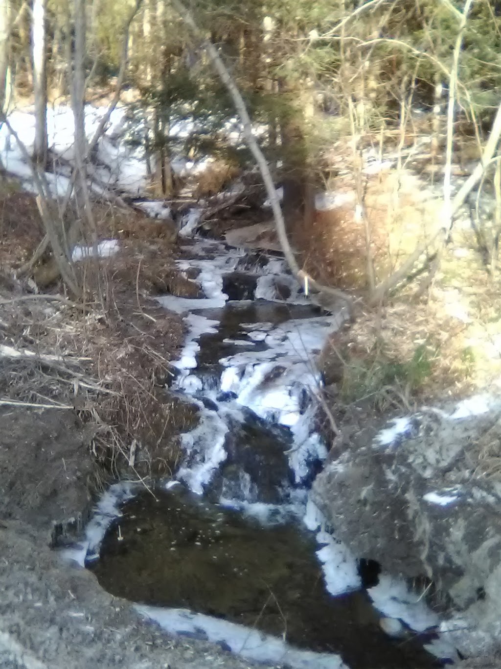 Big Falls State Park | 1382 River Rd, North Troy, VT 05859, USA