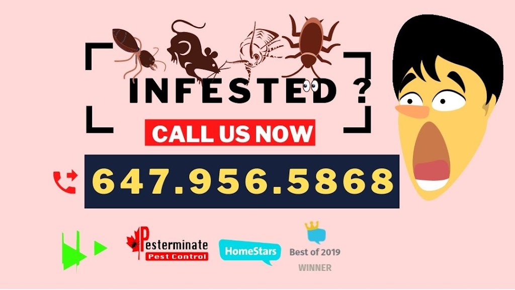 Pesterminate Inc | 78 Dalmatian Crescent, Scarborough, ON M1C 4W6, Canada | Phone: (647) 956-5868
