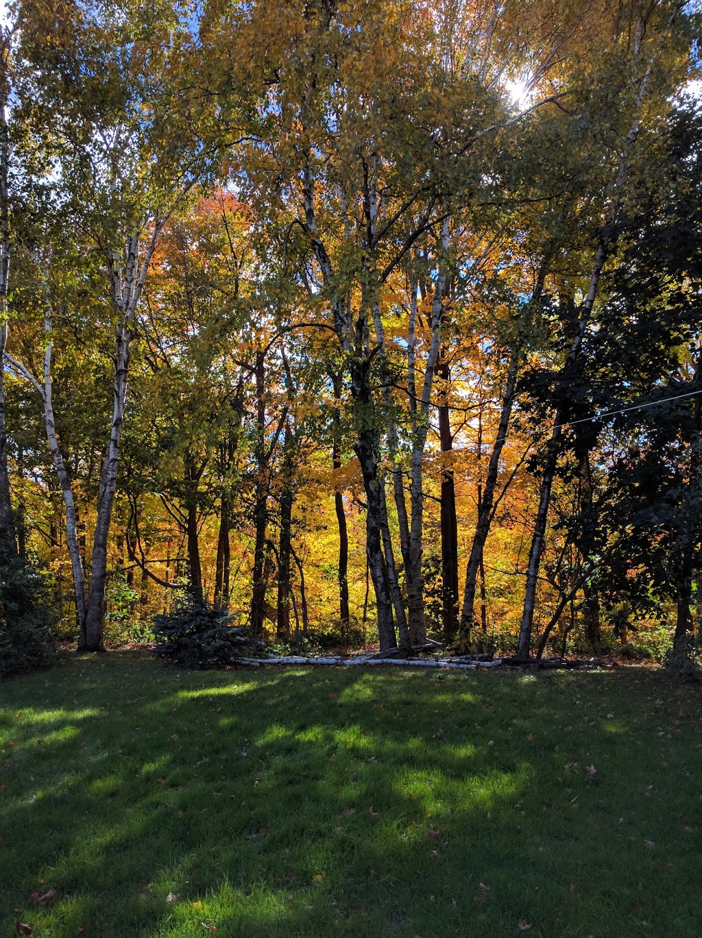 Janellan Ravine Park | 199 Beechgrove Dr, Scarborough, ON M1E 3Z3, Canada | Phone: (416) 392-2489